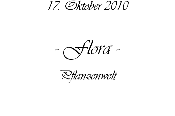 Flora - Pflanzenwelt