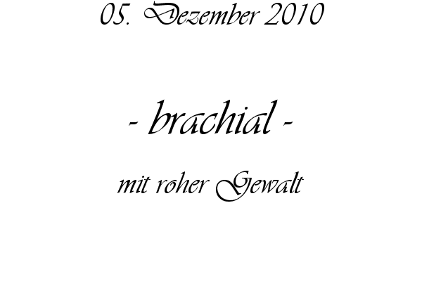 brachial - mit roher Gewalt