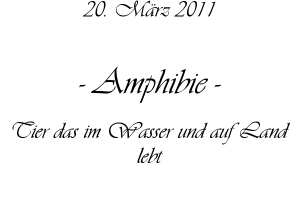 Amphibie - Tier das im Wasser und auf Land lebt