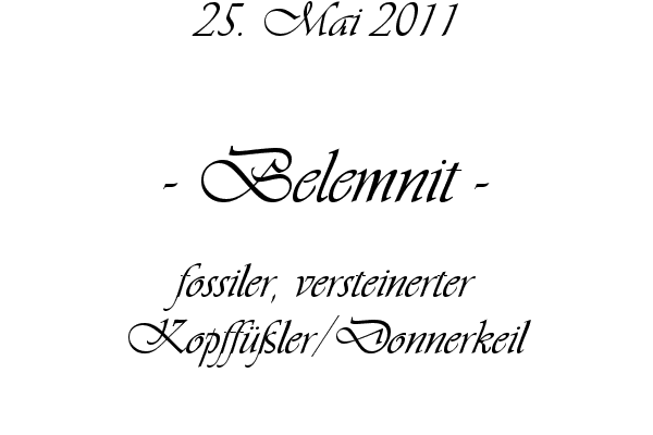 Belemnit - fossiler, versteinerter Kopff��ler/Donnerkeil