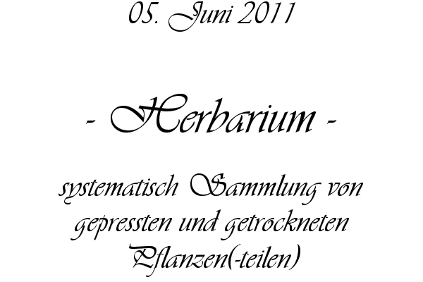 Herbarium - systematisch Sammlung von gepressten und getrockneten Pflanzen(-teilen)