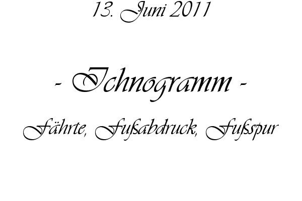 Ichnogramm - F�hrte, Fu�abdruck, Fu�spur