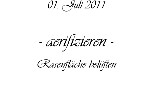 aerifizieren - Rasenfl�che bel�ften