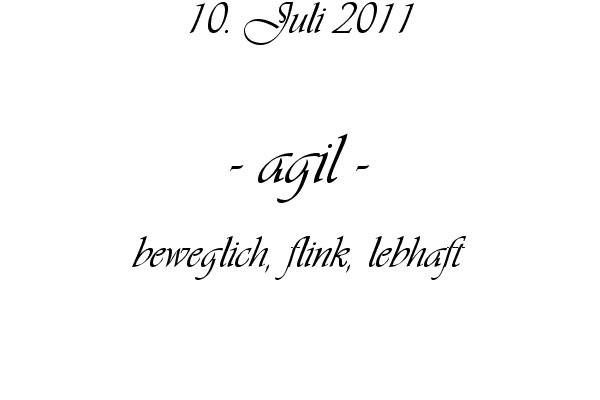 agil - beweglich, flink, lebhaft