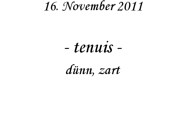 tenuis - d�nn, zart