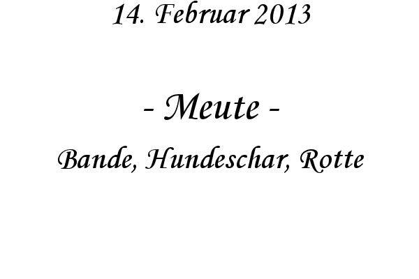 Meute - Bande, Hundeschar, Rotte