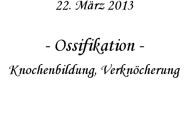 Ossifikation - Knochenbildung, Verkn�cherung