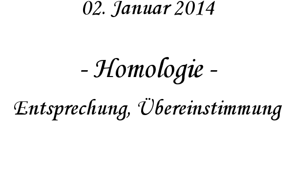Homologie - Entsprechung, �bereinstimmung