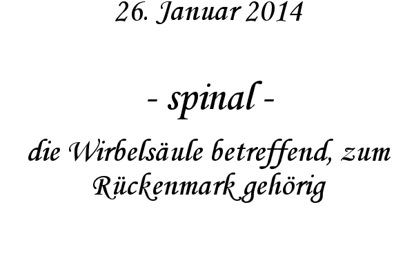 spinal - die Wirbels�ule betreffend, zum R�ckenmark geh�rig