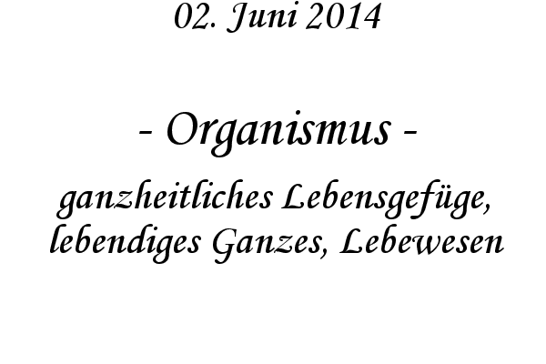 Organismus - ganzheitliches Lebensgefge, lebendiges Ganzes, Lebewesen
