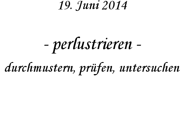 perlustrieren - durchmustern, prfen, untersuchen
