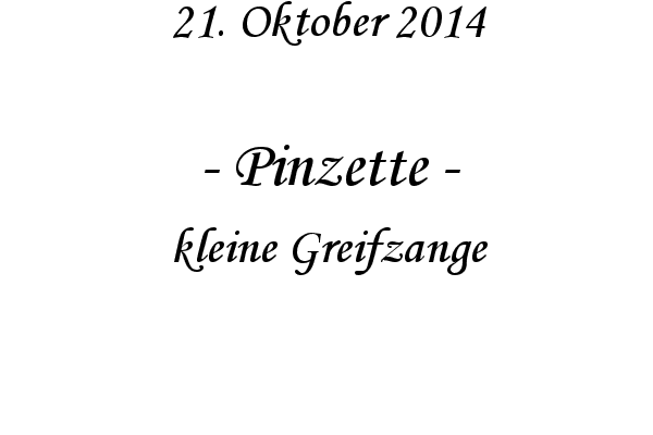 Pinzette - kleine Greifzange
