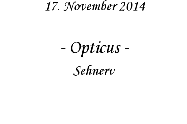 Opticus - Sehnerv