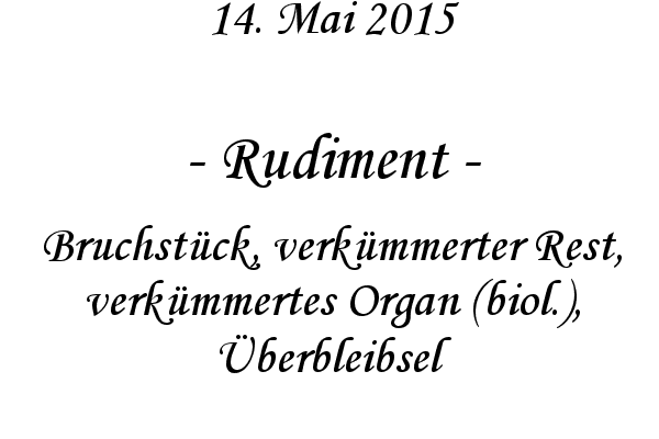 Rudiment - Bruchstck, verkmmerter Rest, verkmmertes Organ (biol.), berbleibsel
