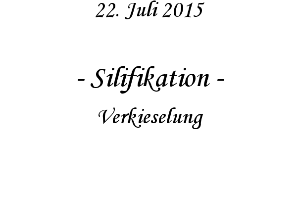 Silifikation - Verkieselung
