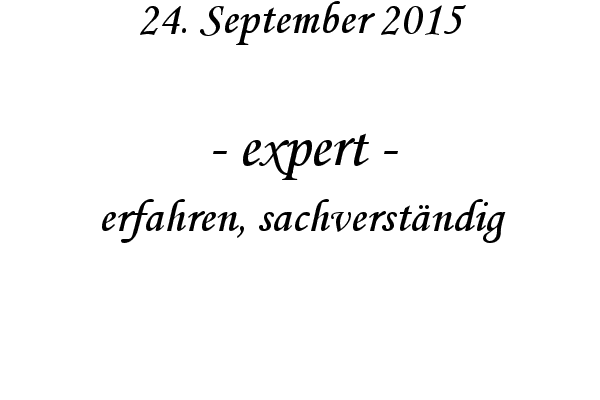 expert - erfahren, sachverstndig
