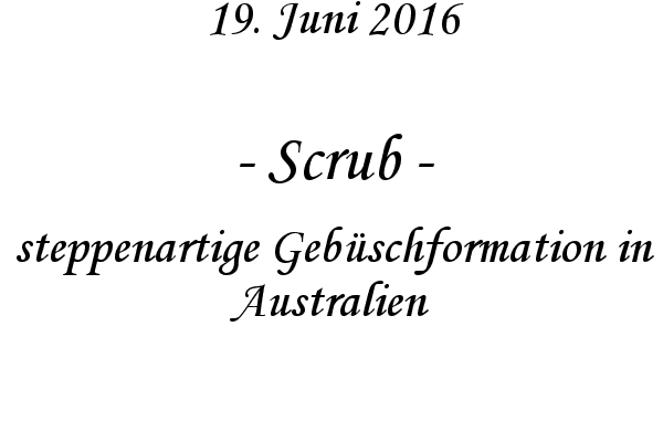 Scrub - steppenartige Gebschformation in Australien
