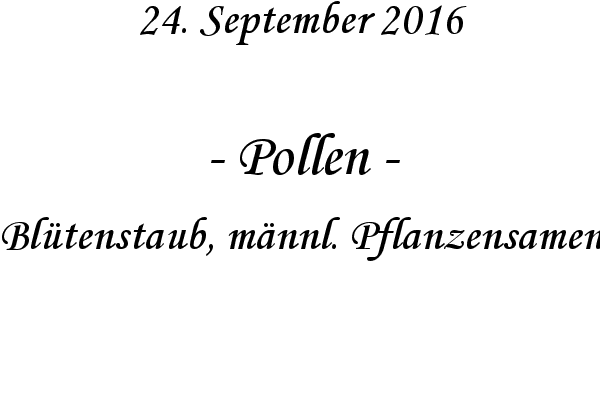 Pollen - Bltenstaub, mnnl. Pflanzensamen