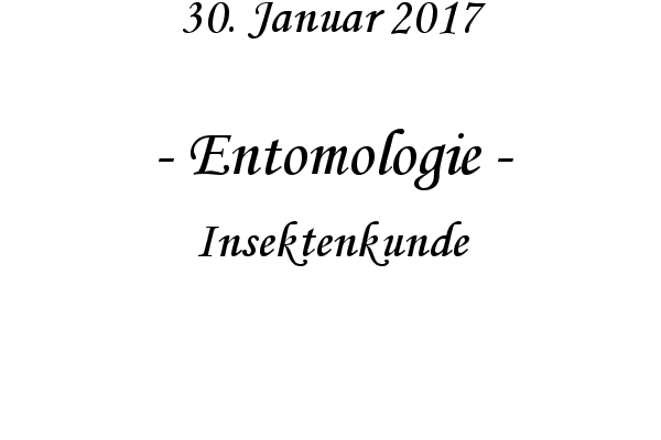 Entomologie - Insektenkunde
