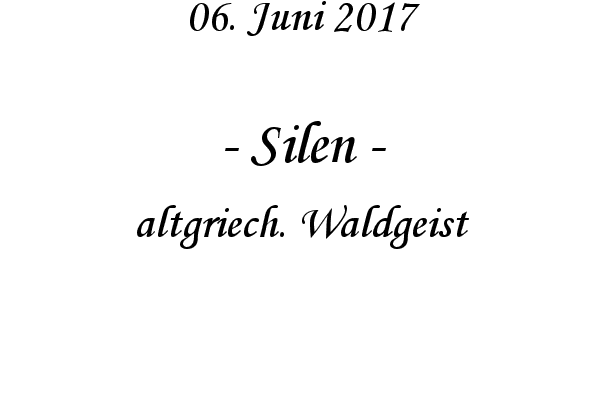 Silen - altgriech. Waldgeist
