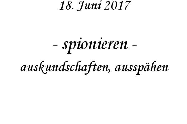 spionieren - auskundschaften, aussphen
