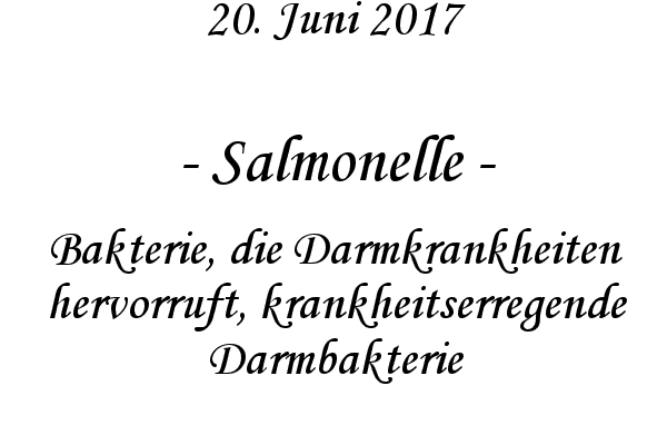 Salmonelle - Bakterie, die Darmkrankheiten hervorruft, krankheitserregende Darmbakterie
