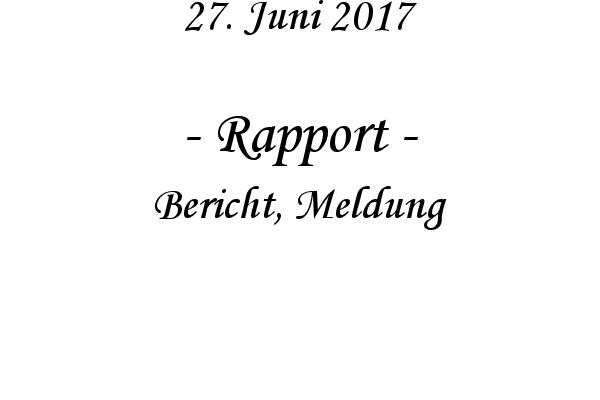 Rapport - Bericht, Meldung
