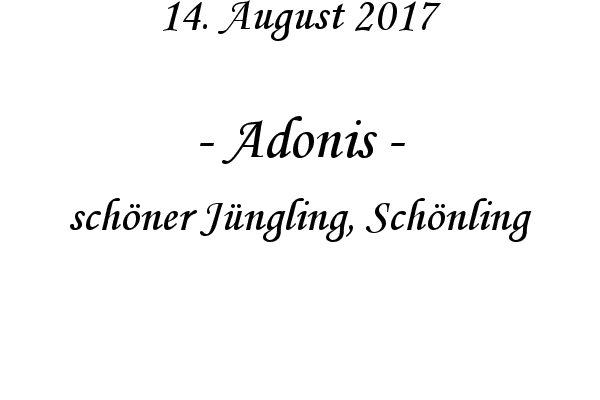 Adonis - schner Jngling, Schnling

