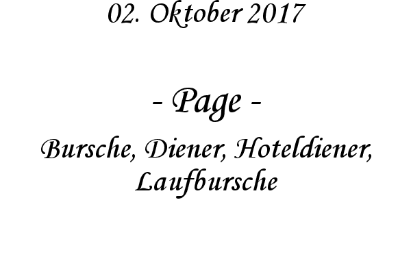 Page - Bursche, Diener, Hoteldiener, Laufbursche
