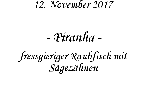 Piranha - fressgieriger Raubfisch mit Sgezhnen
