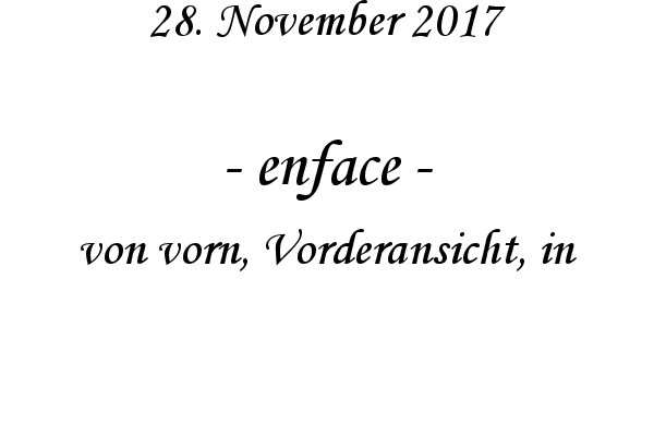 enface - von vorn, Vorderansicht, in
