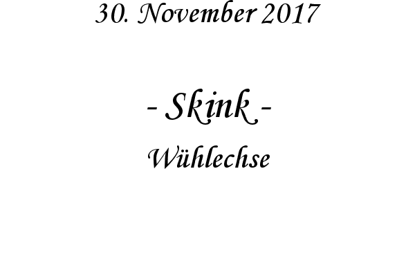 Skink - Whlechse
