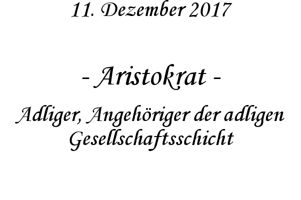 Aristokrat - Adliger, Angehriger der adligen Gesellschaftsschicht
