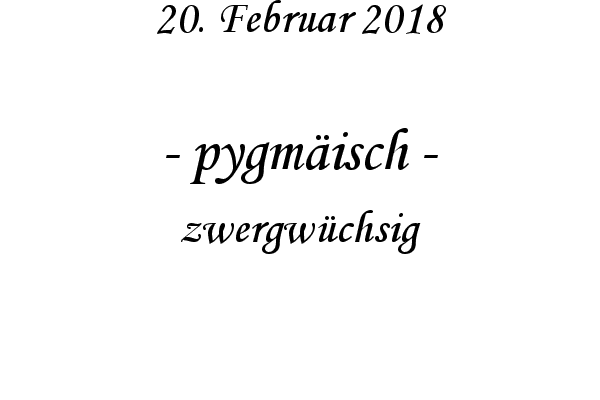 pygm�isch - zwergw�chsig