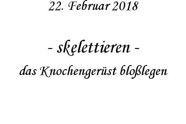 skelettieren - das Knochenger�st blo�legen