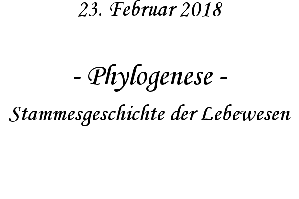 Phylogenese - Stammesgeschichte der Lebewesen