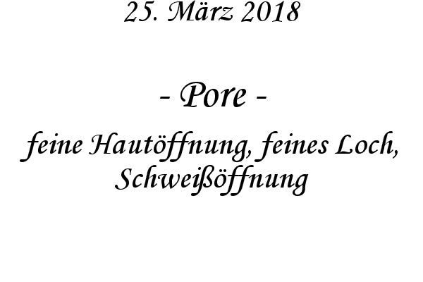 Pore - feine Hautffnung, feines Loch, Schweiffnung
