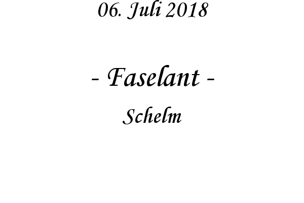 Faselant - Schelm
