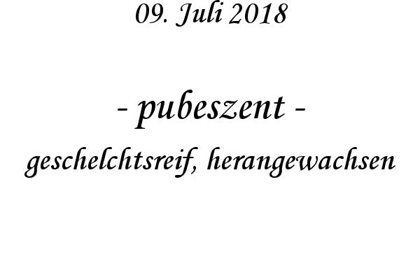 pubeszent - geschelchtsreif, herangewachsen
