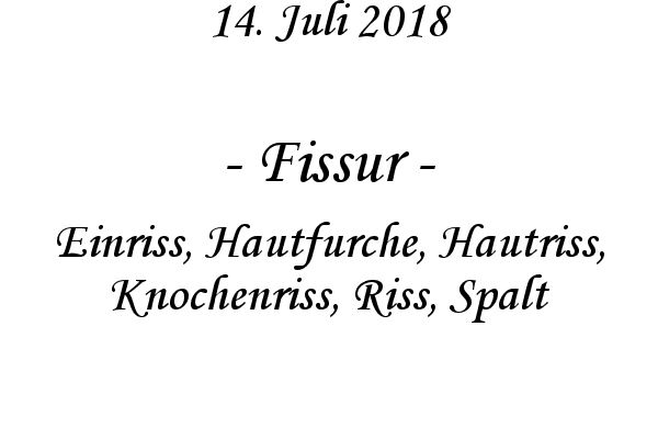 Fissur - Einriss, Hautfurche, Hautriss, Knochenriss, Riss, Spalt
