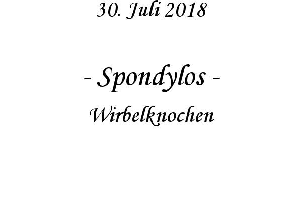 Spondylos - Wirbelknochen
