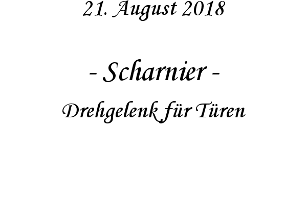 Scharnier - Drehgelenk fr Tren
